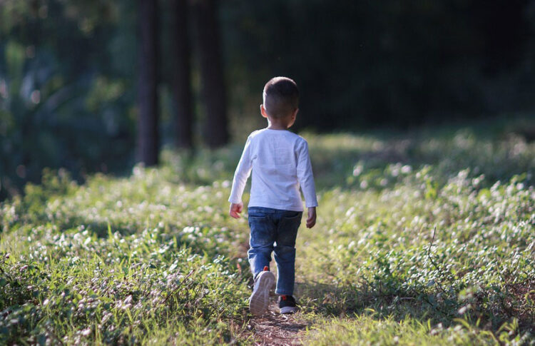 കോക്കാച്ചി Vs. അന്തോണി മാഷ്