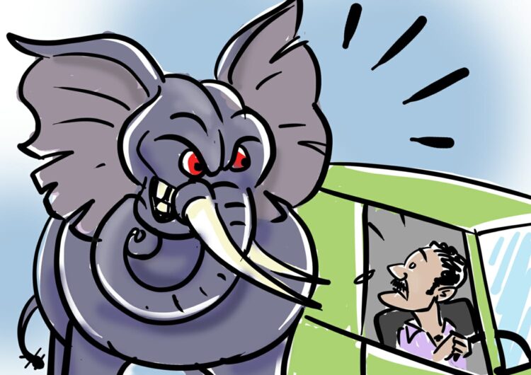 കൊമ്പനാനയും ചങ്ങാടവും