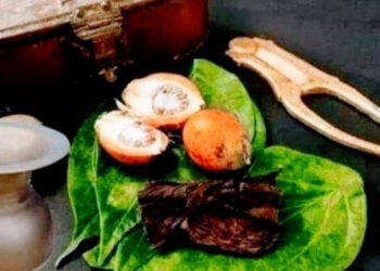 ഓർമ്മകളുടെ പൂമുഖത്ത് – ഭാഗം 2