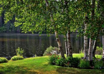 ചില രഹസ്യങ്ങൾ