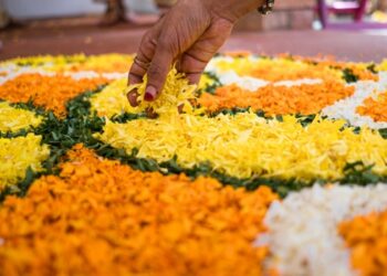 ഓണപൂക്കൾ