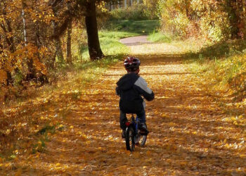 ഉണ്ണിക്കുട്ടൻ്റെ മാറ്റം