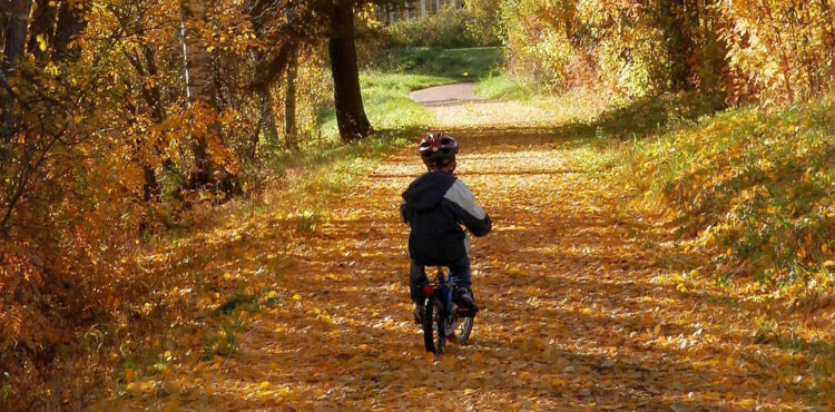ഉണ്ണിക്കുട്ടൻ്റെ മാറ്റം