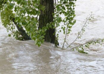 ചെഞ്ചോര മണമുള്ള അമൃതവാഹിനി