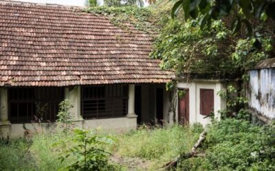 വേരറ്റു വീഴുന്നോർ