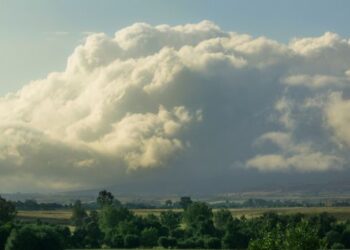 മഴ പോയ പോക്ക്