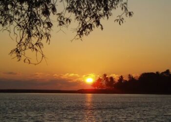 പ്രത്യാശയിൽ