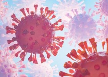 കൊവിഡ് വിസ