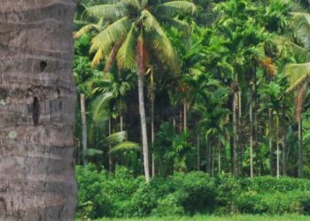 ഓർമ്മക്കുറിപ്പ്