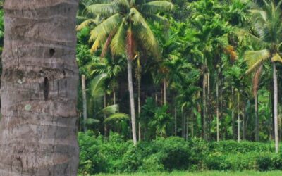 ഓർമ്മക്കുറിപ്പ്