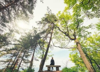 ഓർമകൾ പൂക്കുമ്പോൾ