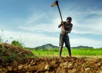 മണ്ണിലെ പോരാളി