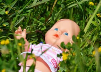 കൊഴിഞ്ഞ പൂമൊട്ടുകൾ