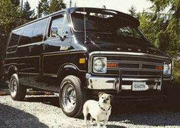 മുൻജന്മ ബന്ധം