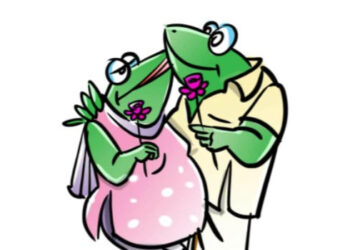 തവളക്കുളം ശലോമി