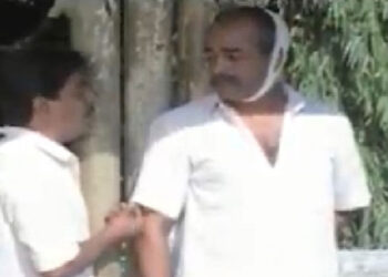 കെവിൻ്റെ കുണുവാവ