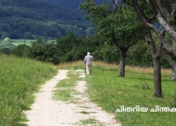 ചിതറിയ ചിന്തകൾ