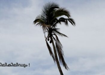 കിലികിലിഡും!