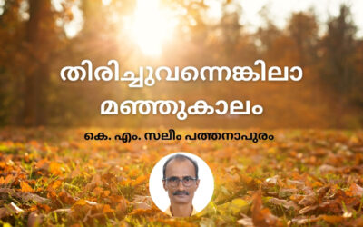 തിരിച്ചുവന്നെങ്കിലാ മഞ്ഞുകാലം