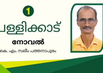 പള്ളിക്കാട്  – ഭാഗം 1