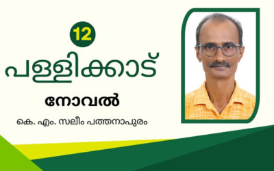 പള്ളിക്കാട്  – ഭാഗം 12