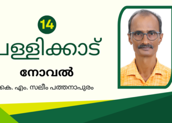 പള്ളിക്കാട്  – ഭാഗം 14