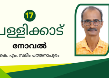 പള്ളിക്കാട്  – ഭാഗം 16