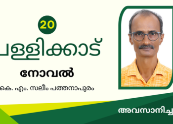 പള്ളിക്കാട്  – ഭാഗം 16