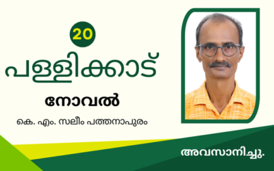 പള്ളിക്കാട് – ഭാഗം 20